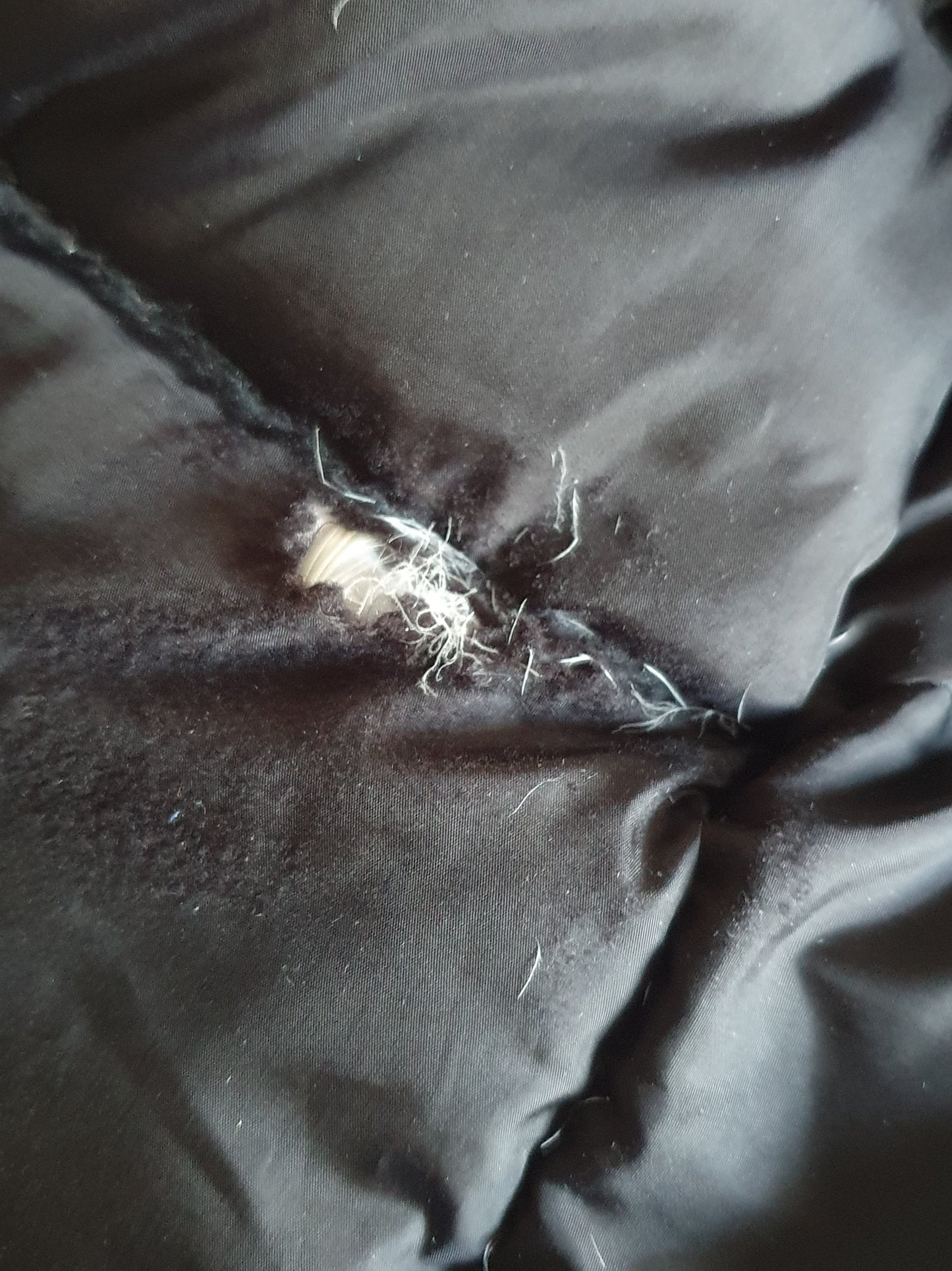 Canada Goose - Expedition Parka Heritage